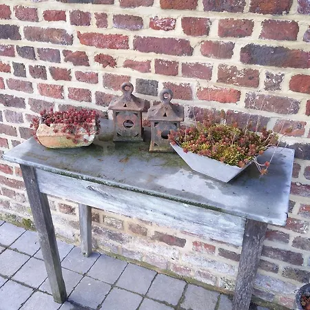 Vakantiewoning Venderhof Maaseik